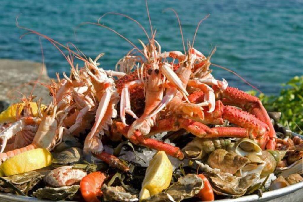 Kermaravel, Le Petit Manoir En Bord De Mer. Сен-Поль-де-Леон Экстерьер фото
